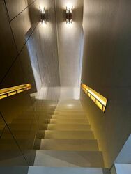 The Ritz-Carlton  (D9), Condominium #454674571